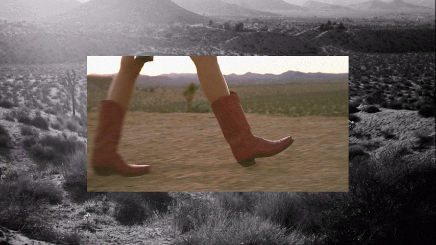 Los Gauchos_Thumbnail.gif