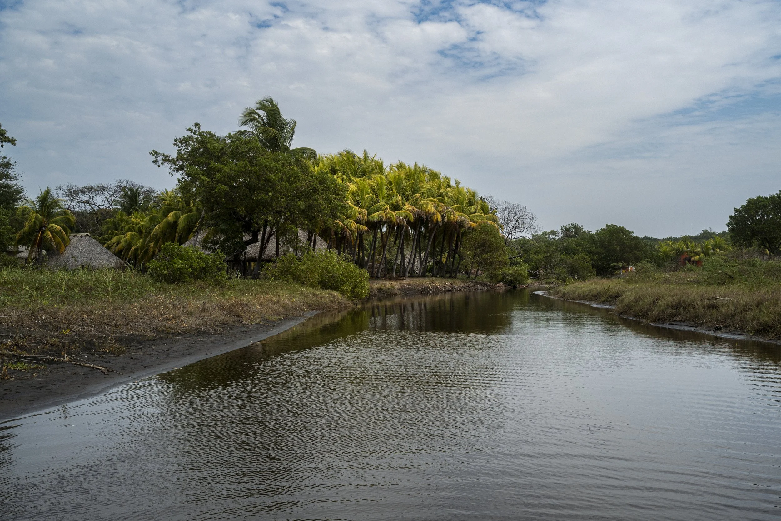 L1002816.jpg