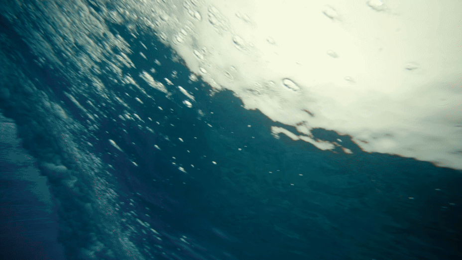 Coastal CULTURE with LEX WEINSTEIN | Costa | See What's Out There