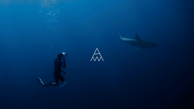 2025 Reel | Alec Walsh Visuals