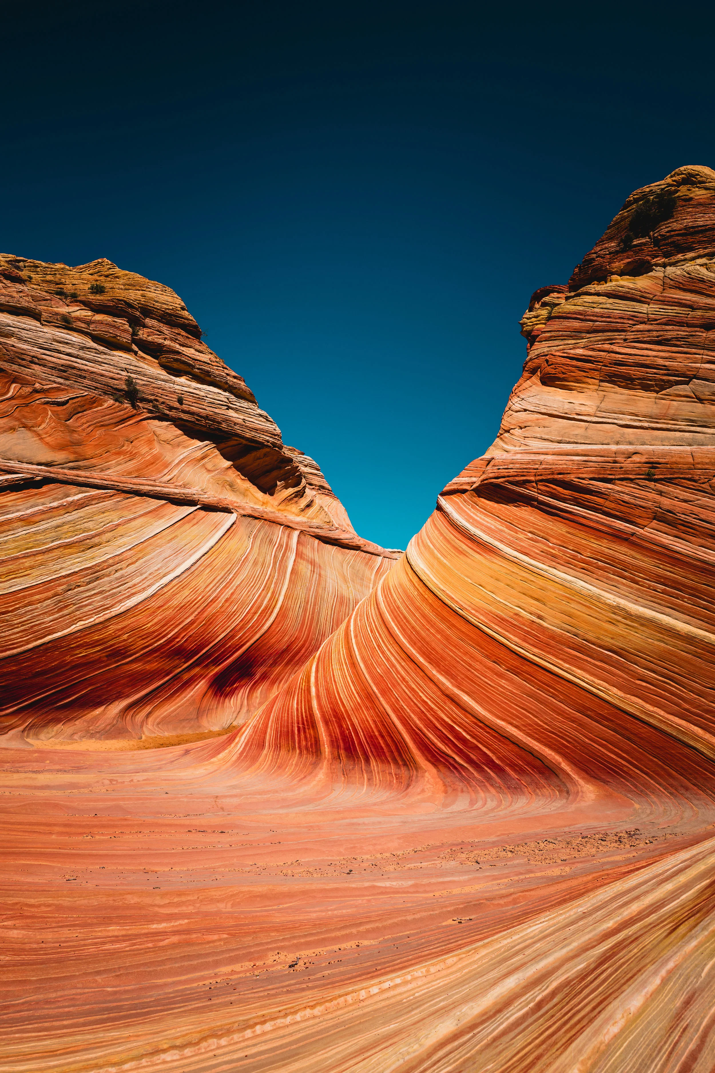 The Wave at Coyote Buttes, AZ. 5/23/16