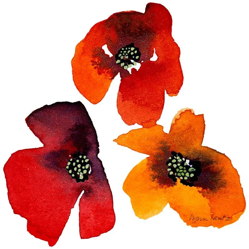 Poppies Sing