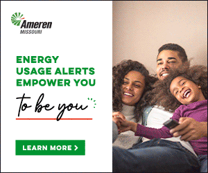 AMR_MO_26118_Energy_Usage_Alerts_300x250.gif