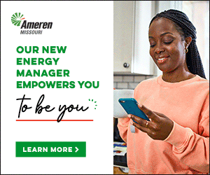 AMR_MO_26118_My_Energy_Manager_300x250.gif