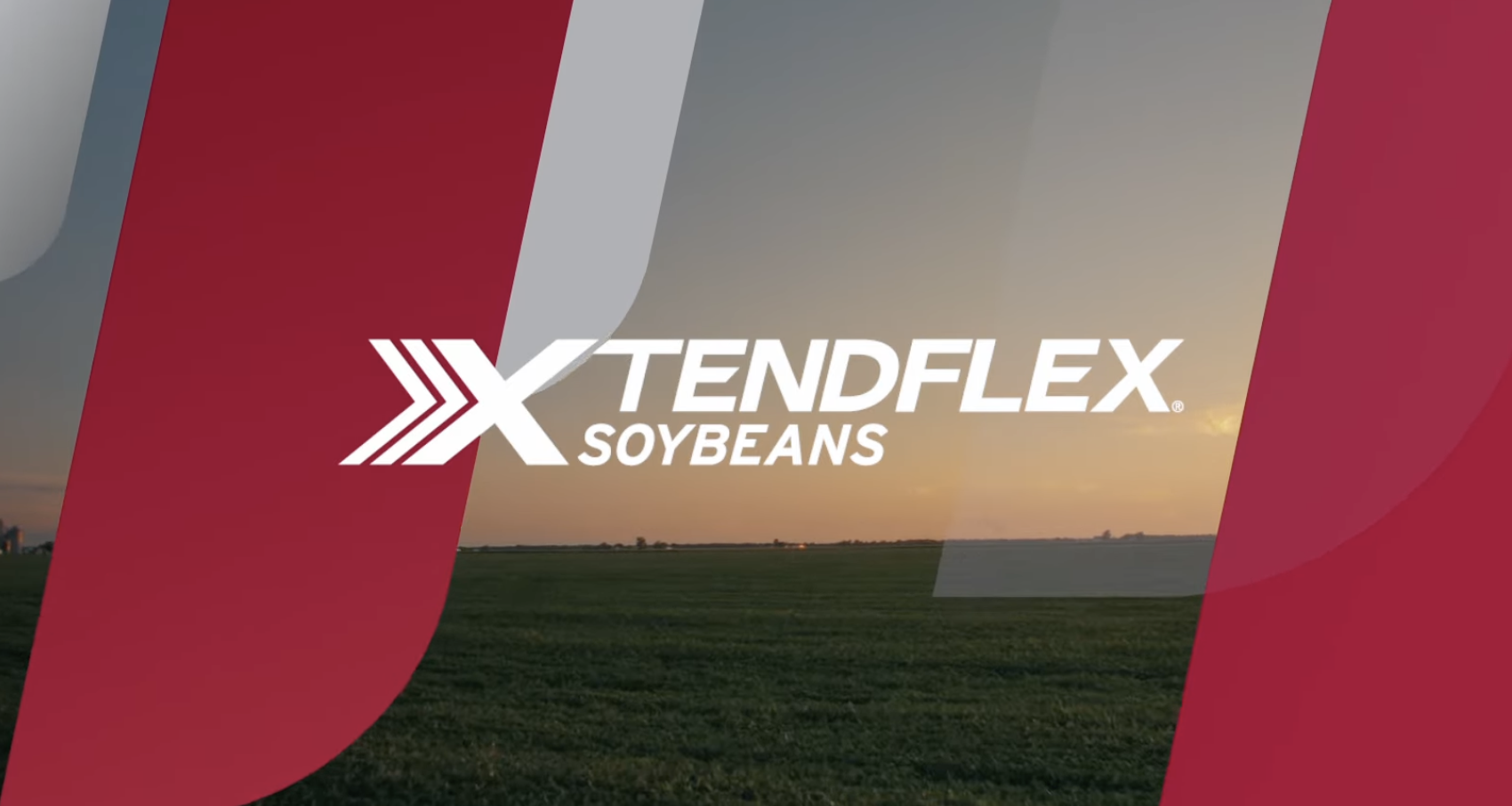 Screenshot 2024-07-26 at 1.20.46 PM.png