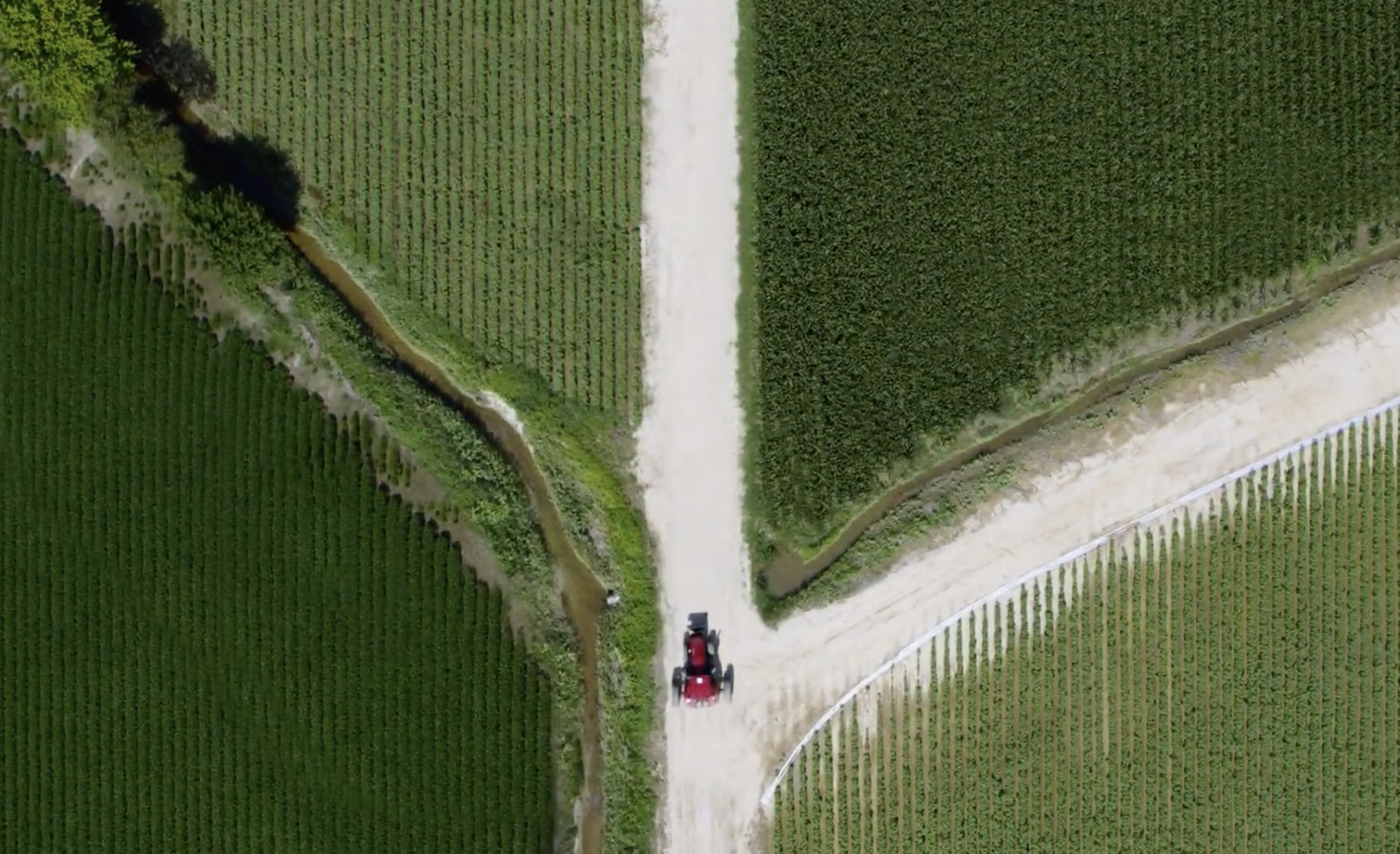 Bayer Traits: Innovation in Action 