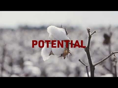 Why Is ThryvOn™ Technology the Trait Pests Hate?