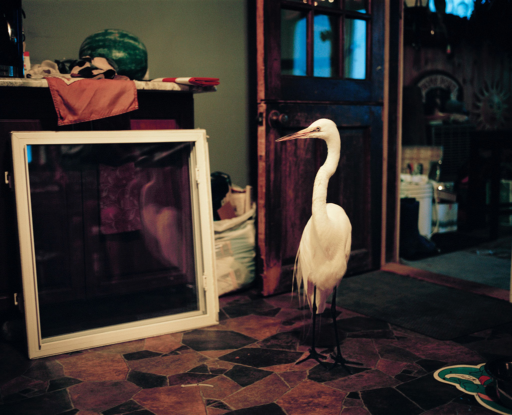 Photo: Maureen Drennan