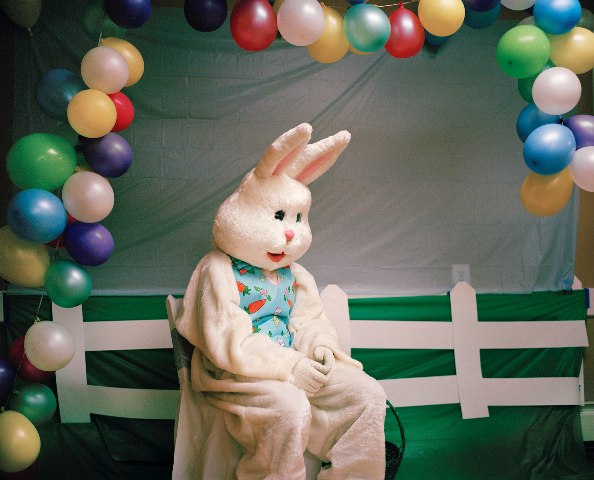 Photo: Maureen Drennan