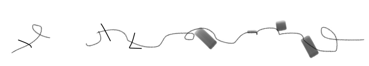 image7.jpeg
