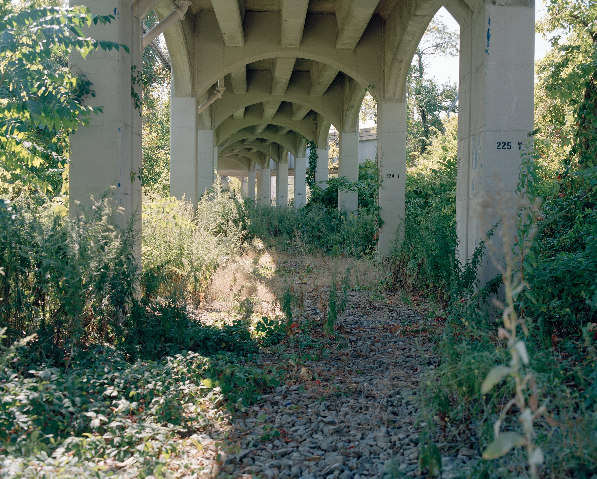06_15underbridgeovergrown.jpg