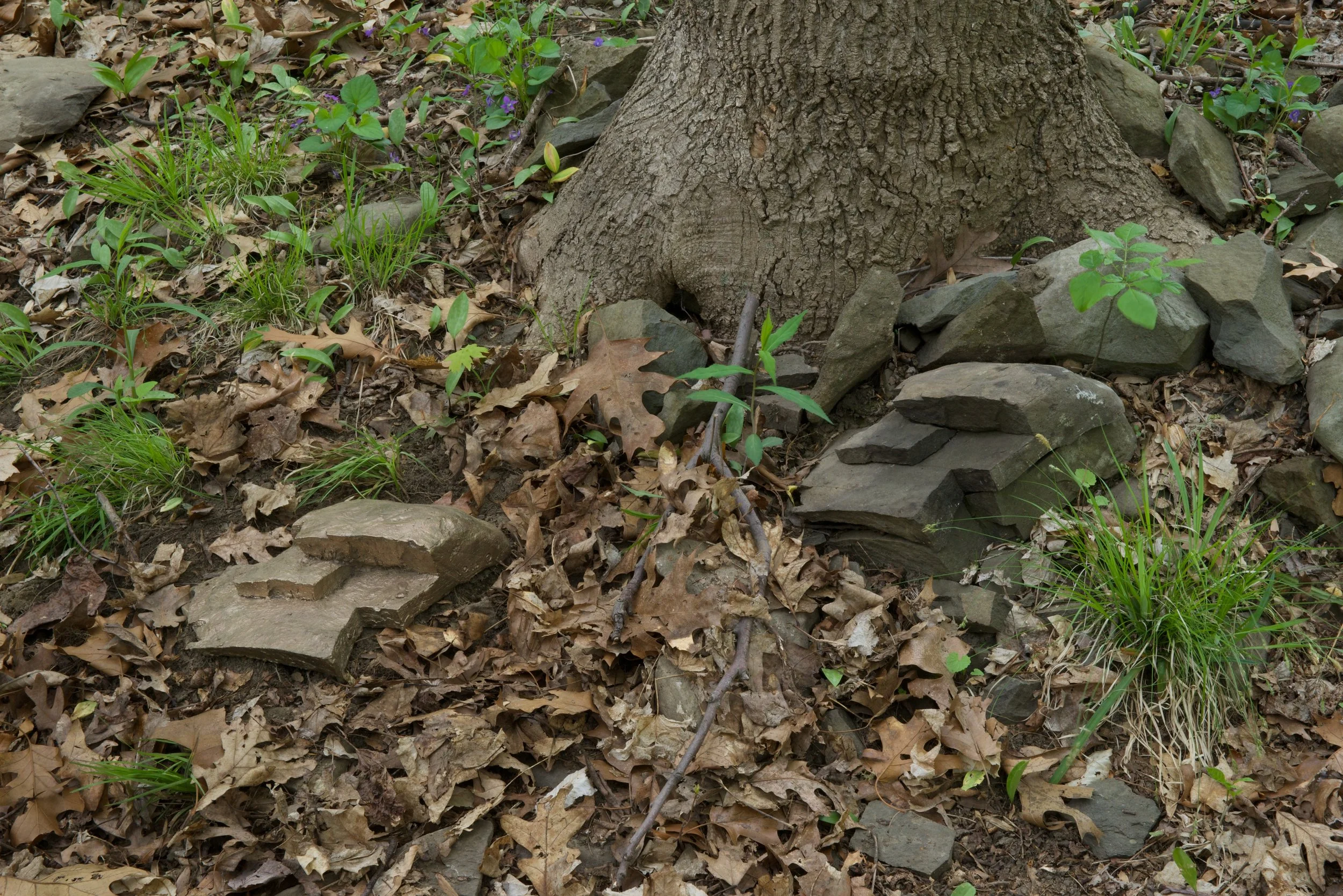 David Brooks, Permanent Field Observations , 2018. Bronze, dimensions variable. Courtesy of the artist. Photo: Jerry L. Thompson.