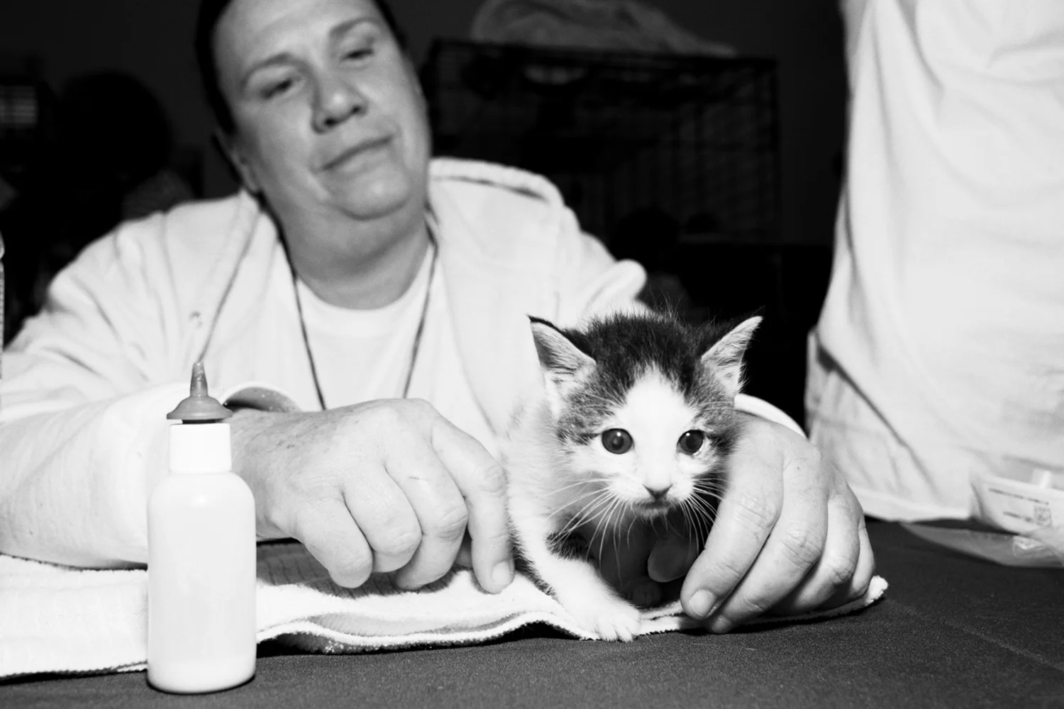 12_Cat_People-Julius-Motal-113.jpg