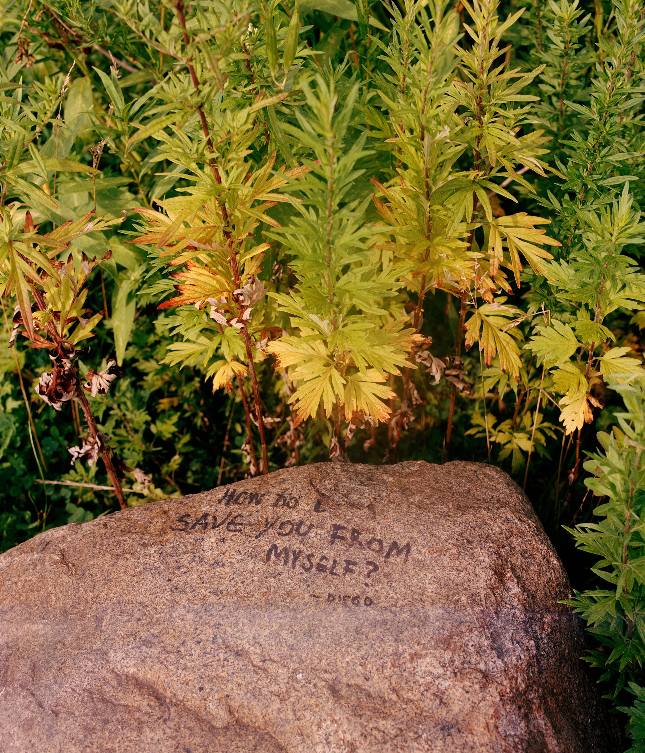 02_Parks_08.jpg