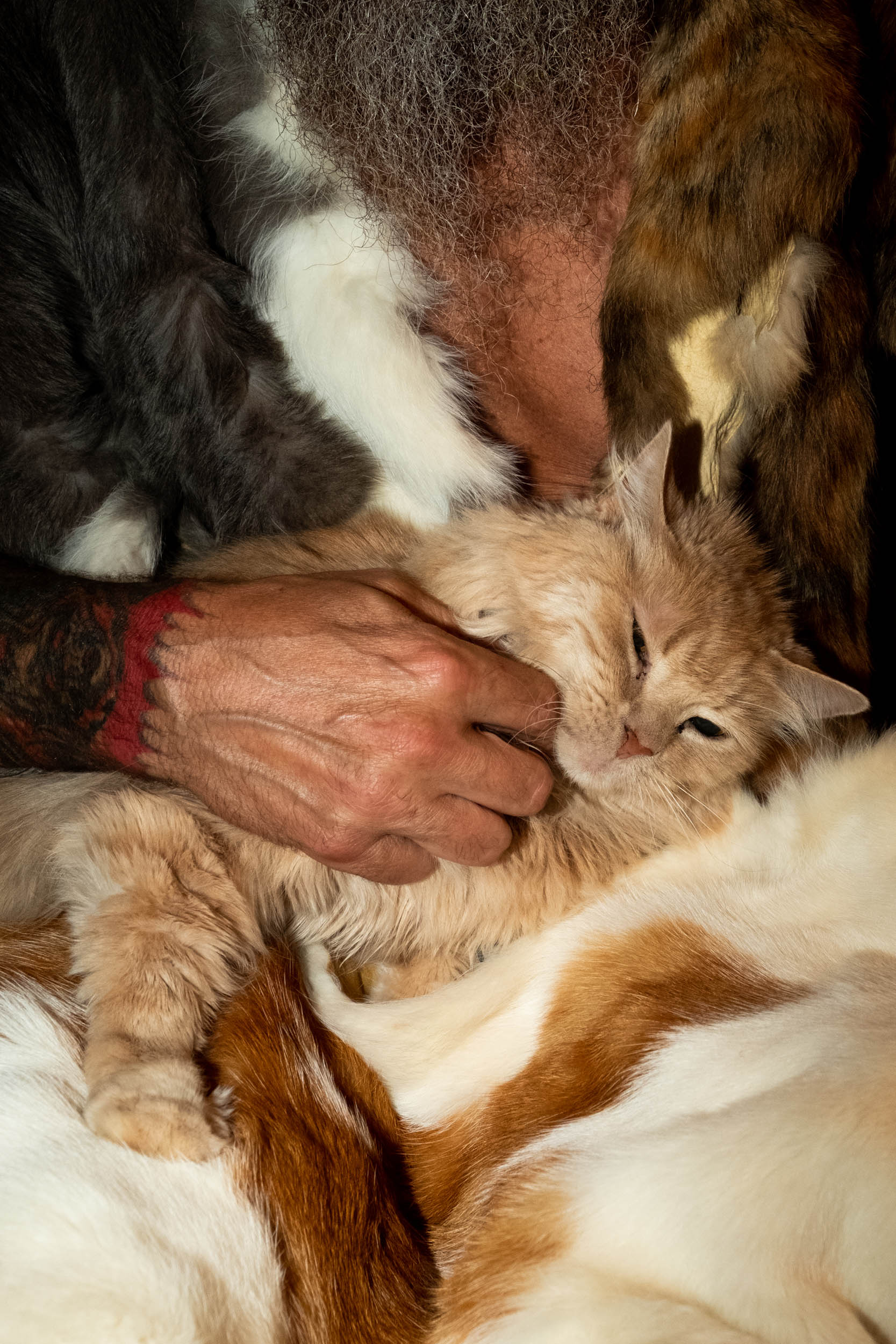 DSCF6166.jpg
