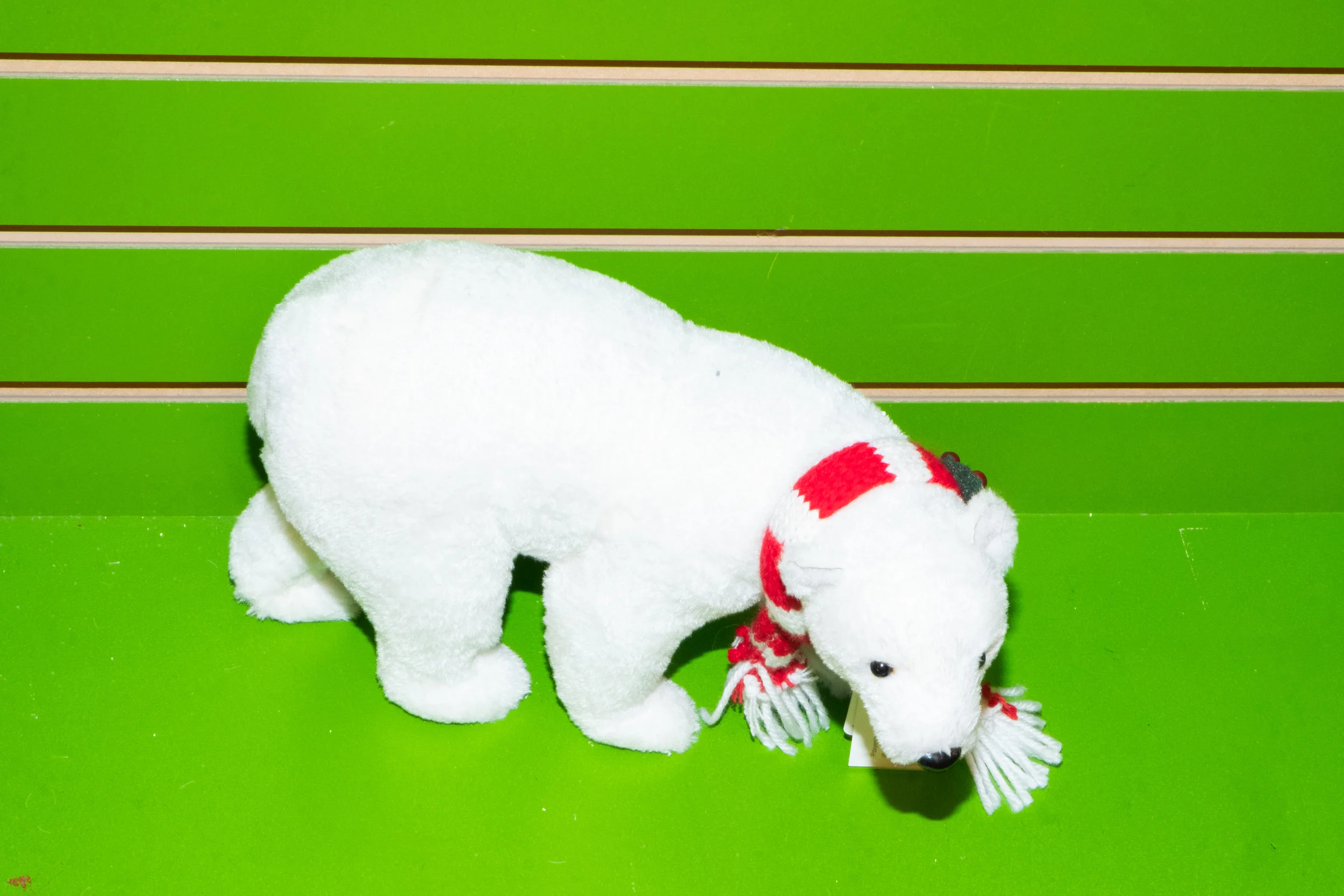 DSCF5960.jpg