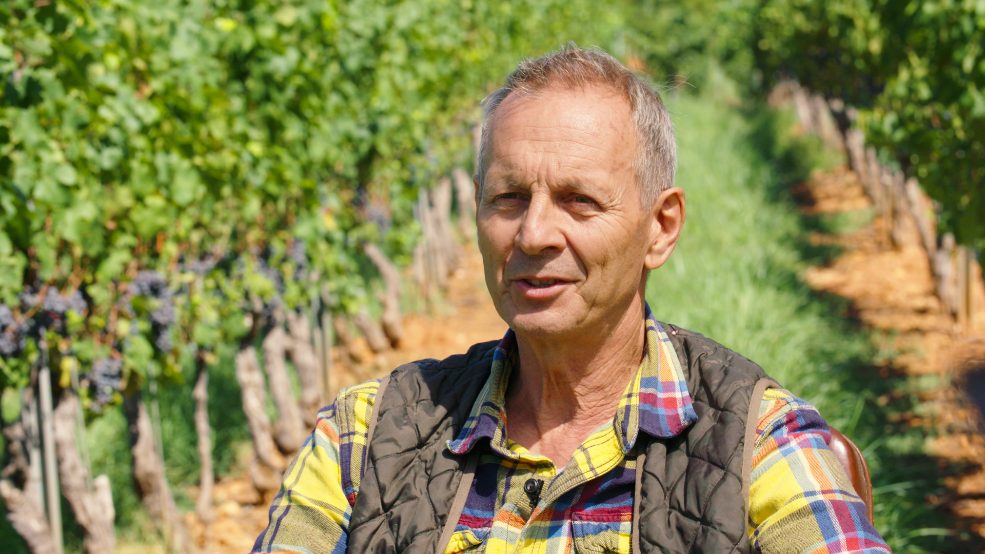 VDACS Wine portrait.png