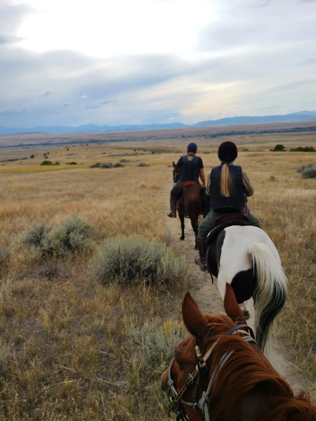 WhatsApp Image 2025-12-22 at 2.32.41 PM (5).jpeg