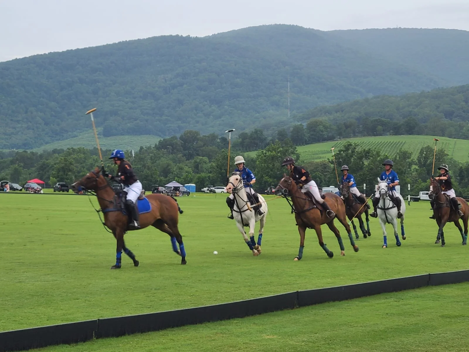 WhatsApp Image 2025-12-22 at 2.32.41 PM (7).jpeg