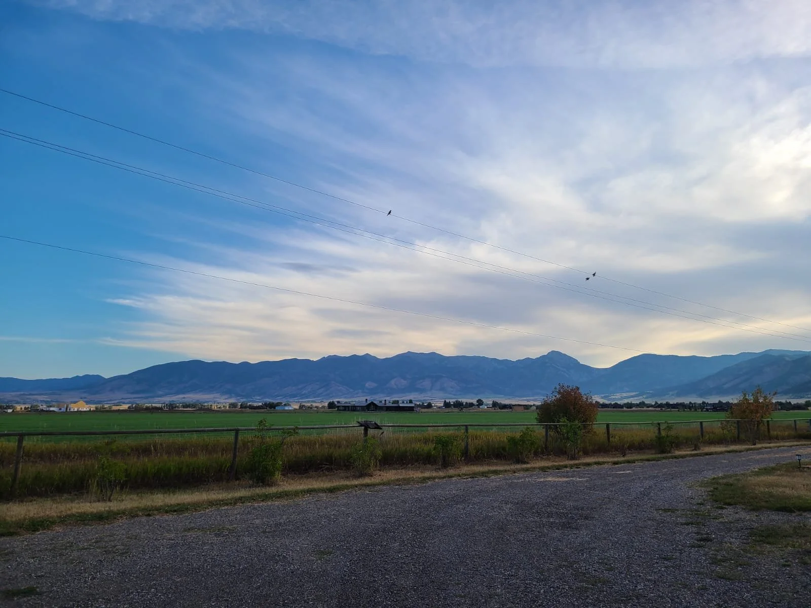 WhatsApp Image 2025-12-22 at 2.32.39 PM (1).jpeg