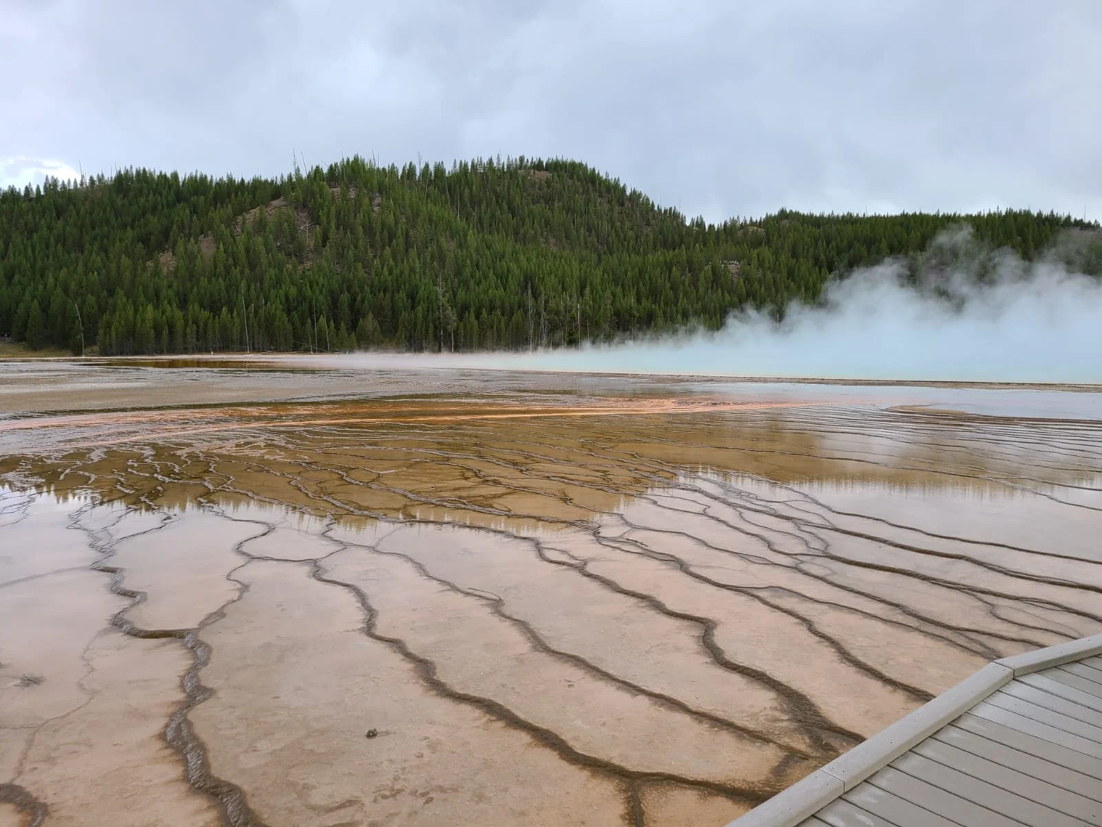 WhatsApp Image 2025-12-22 at 2.32.41 PM (3).jpeg