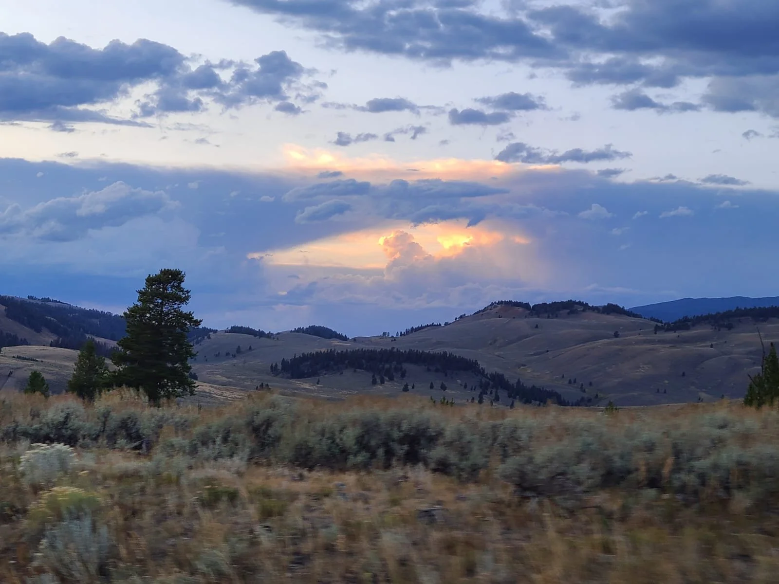 WhatsApp Image 2025-12-22 at 2.32.40 PM (2).jpeg