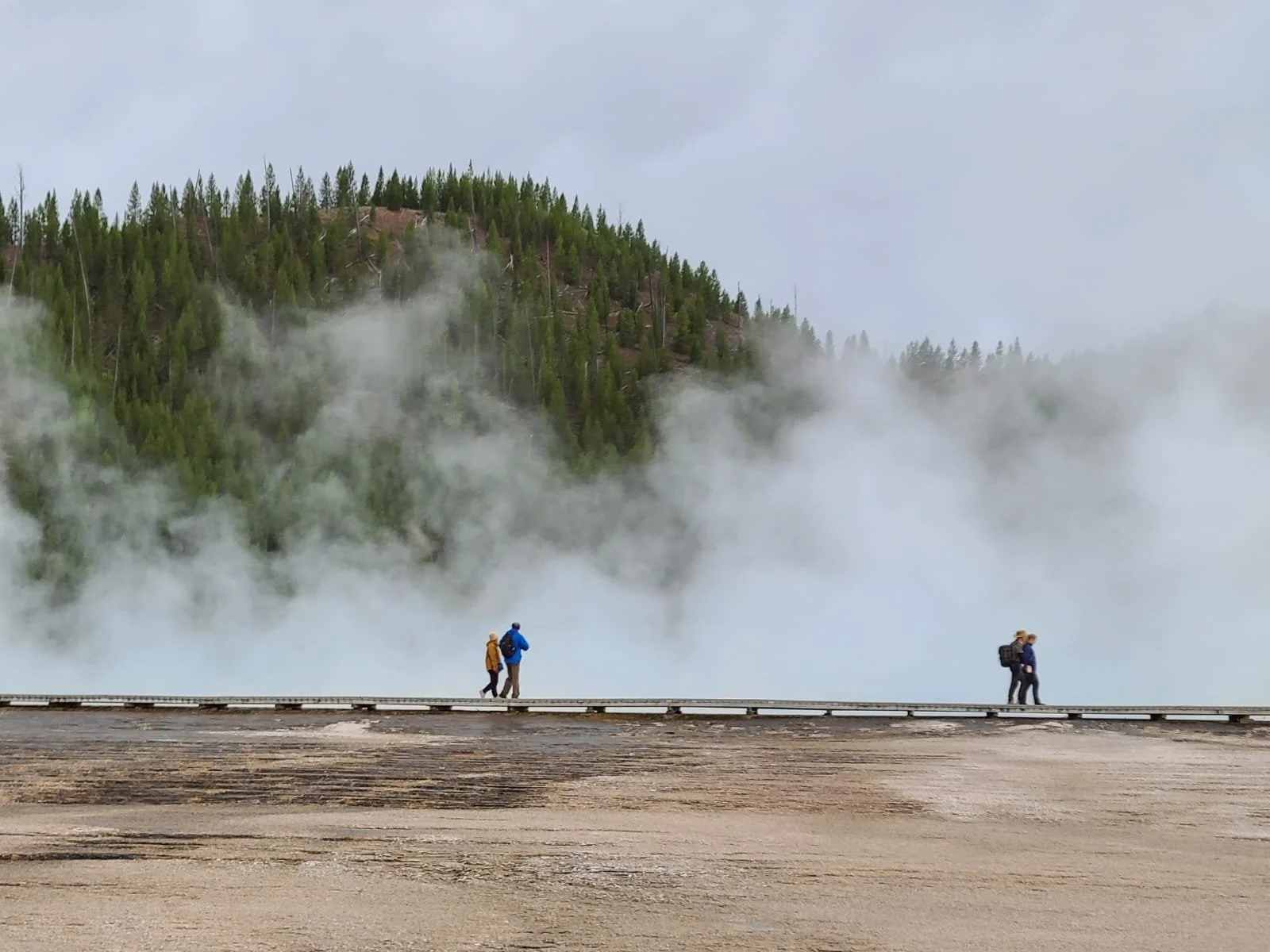 WhatsApp Image 2025-12-22 at 2.32.41 PM (4).jpeg