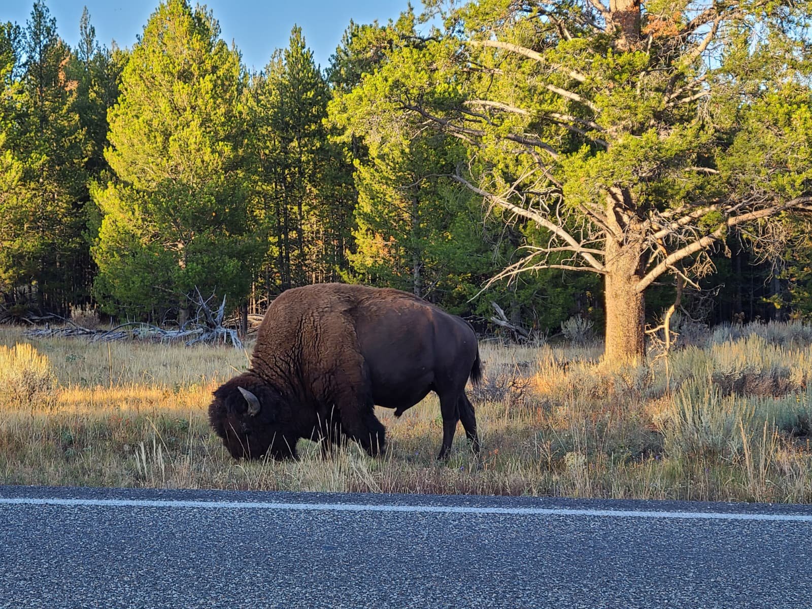 WhatsApp Image 2025-12-22 at 2.32.41 PM.jpeg