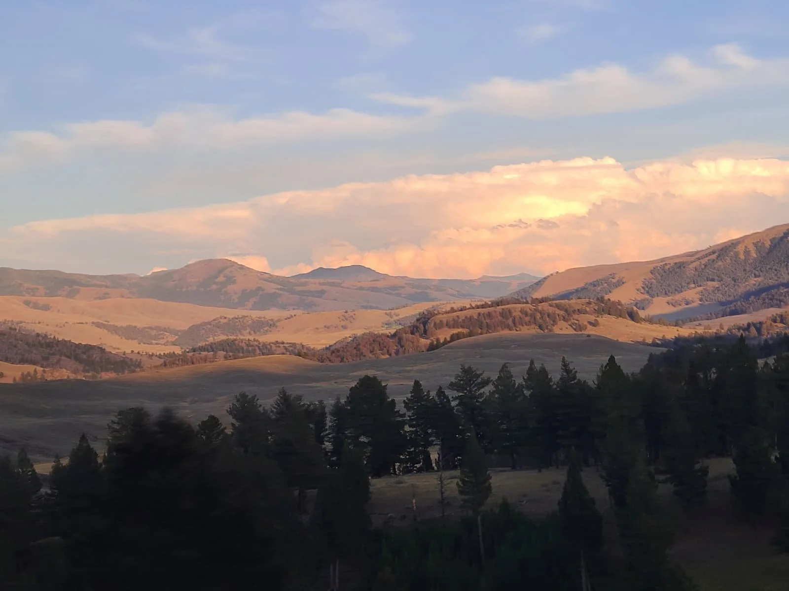 WhatsApp Image 2025-12-22 at 2.32.40 PM (3).jpeg