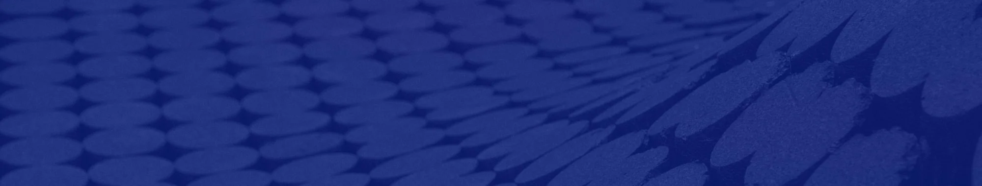 We're COGS Corporate Options for Graphic Solutions