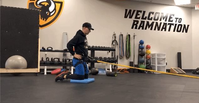 Kneeling Hip Hinge (front).gif