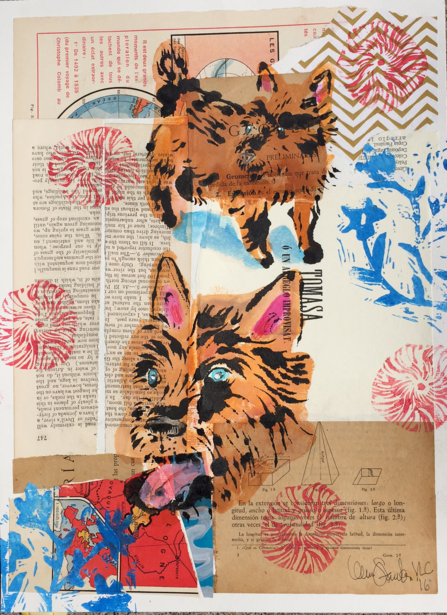 Norwich Terrier  