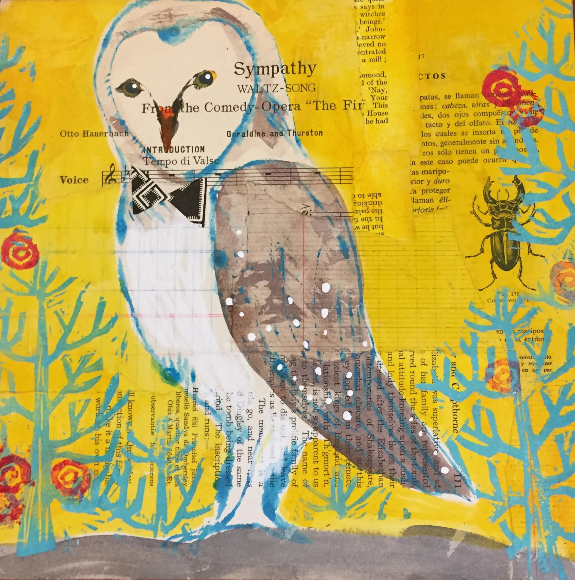 owl in winter 1010.jpg
