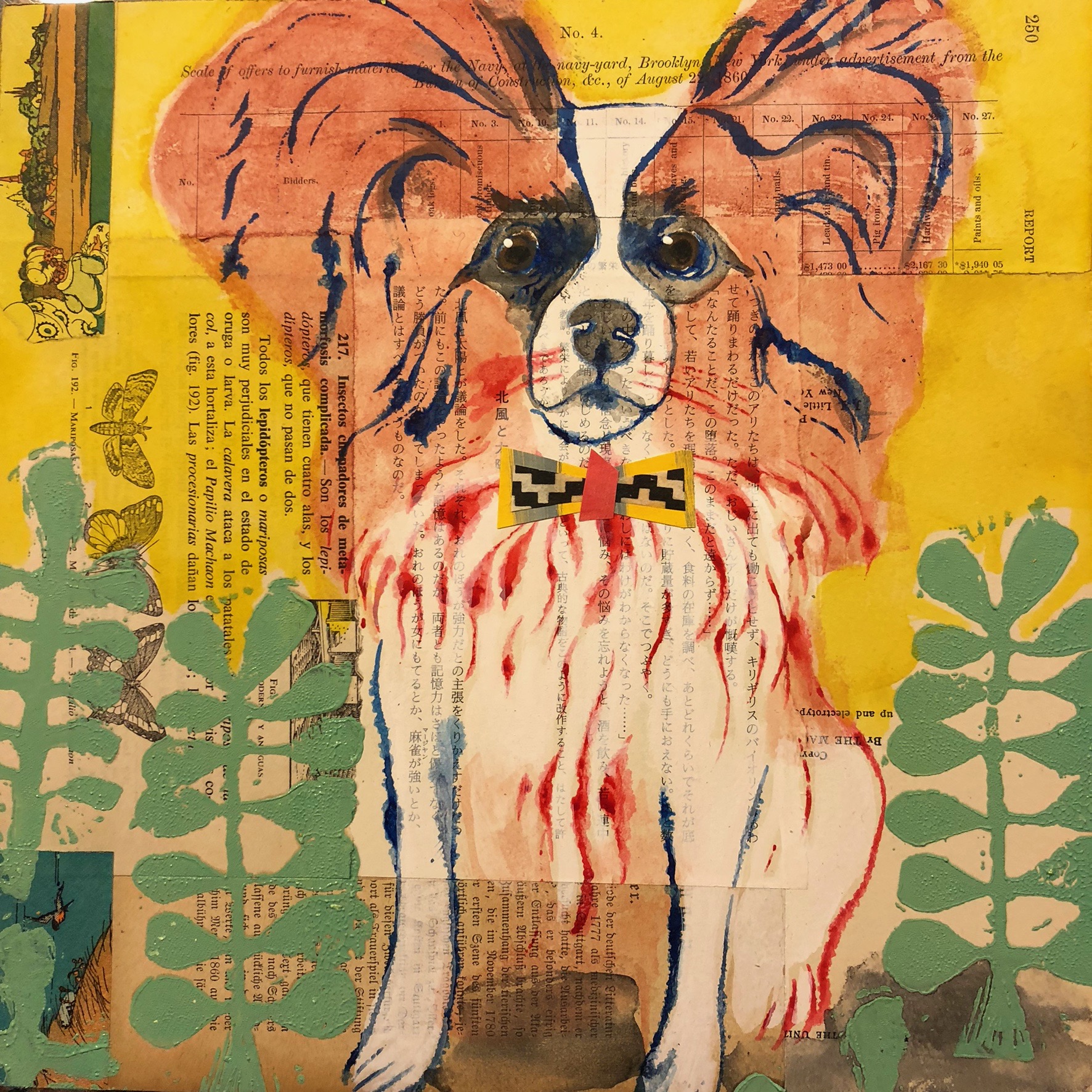 Bandit the Papillon