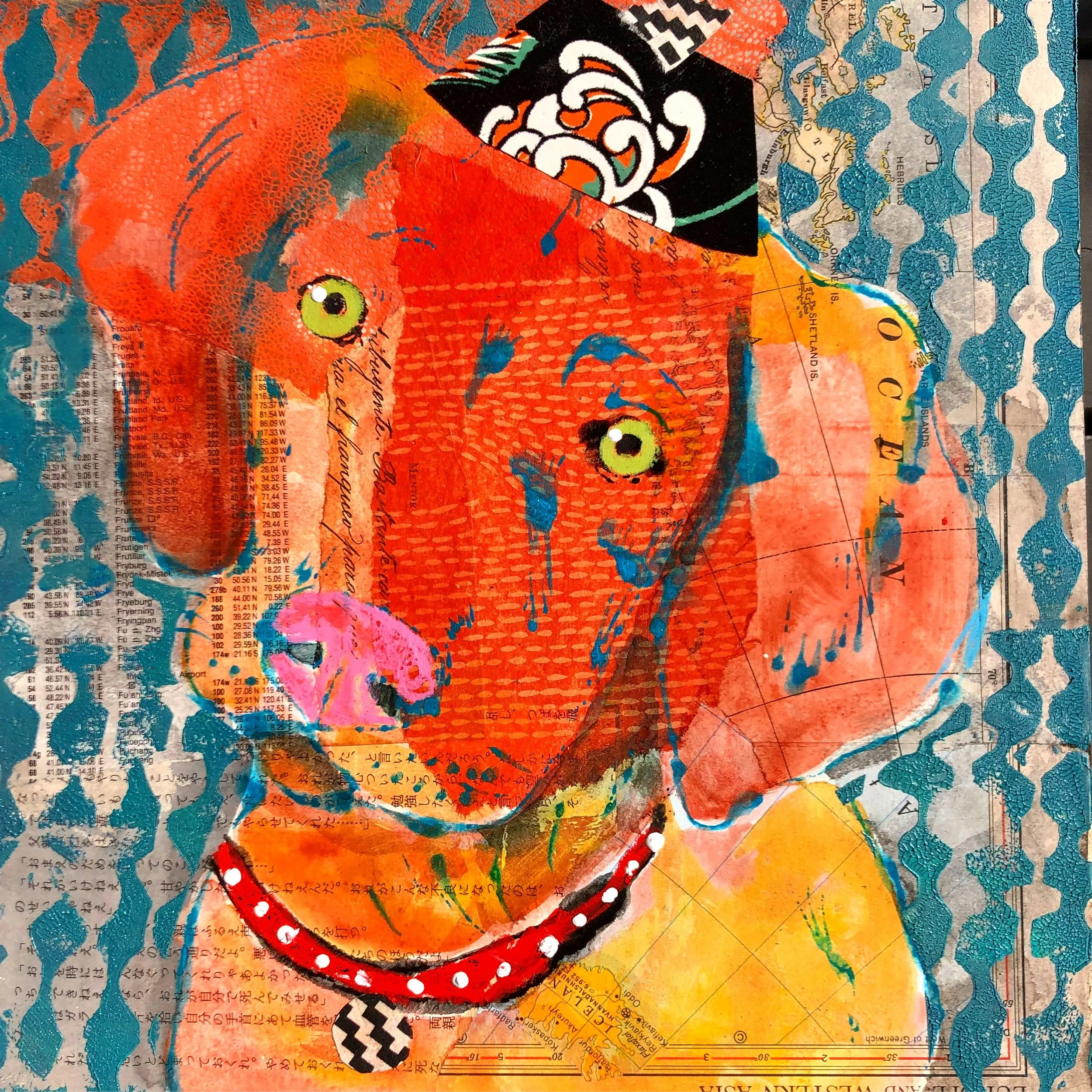 Ginger the Visla Puppy