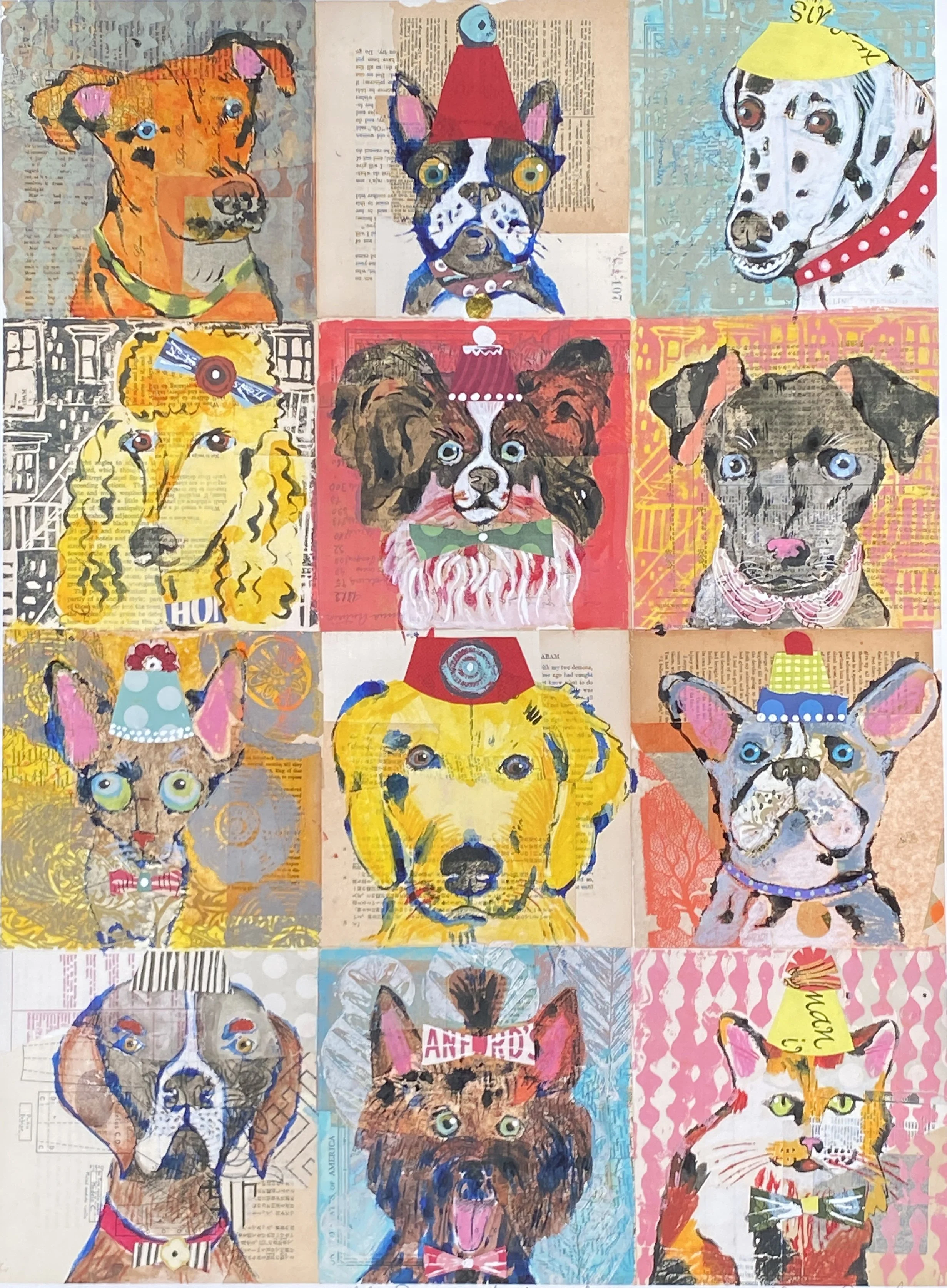 eleven dogs and one cool cat.jpg