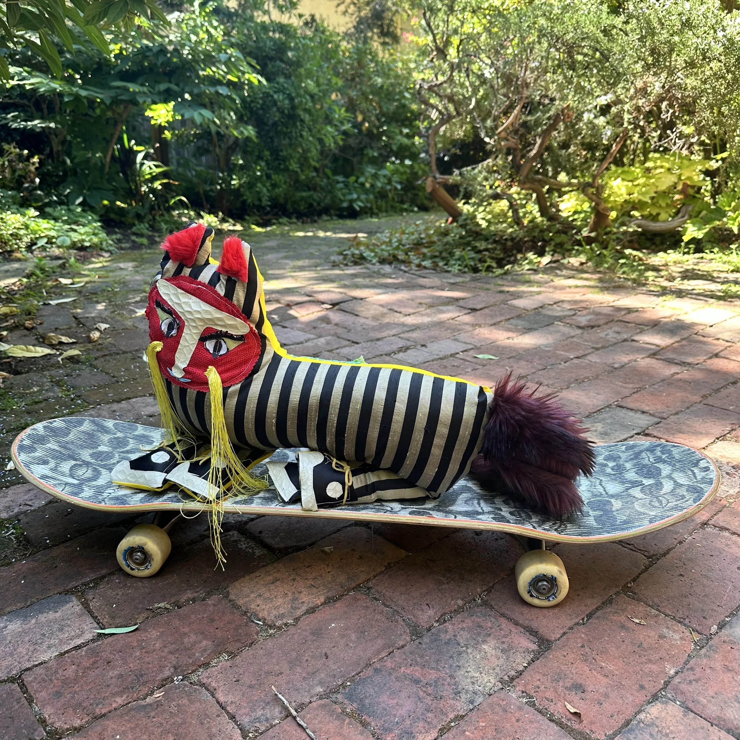 skateboard cat.jpeg