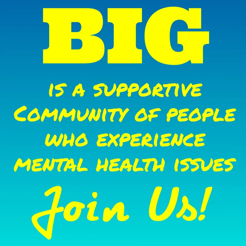 BIG Membership 2017 - 2018 - Bayside Initiatives Group Inc. a unique peer-operated mental health service