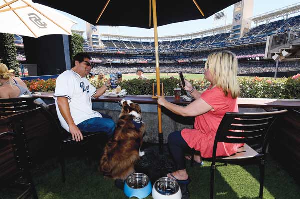 Petco Park Seating Chart Shade