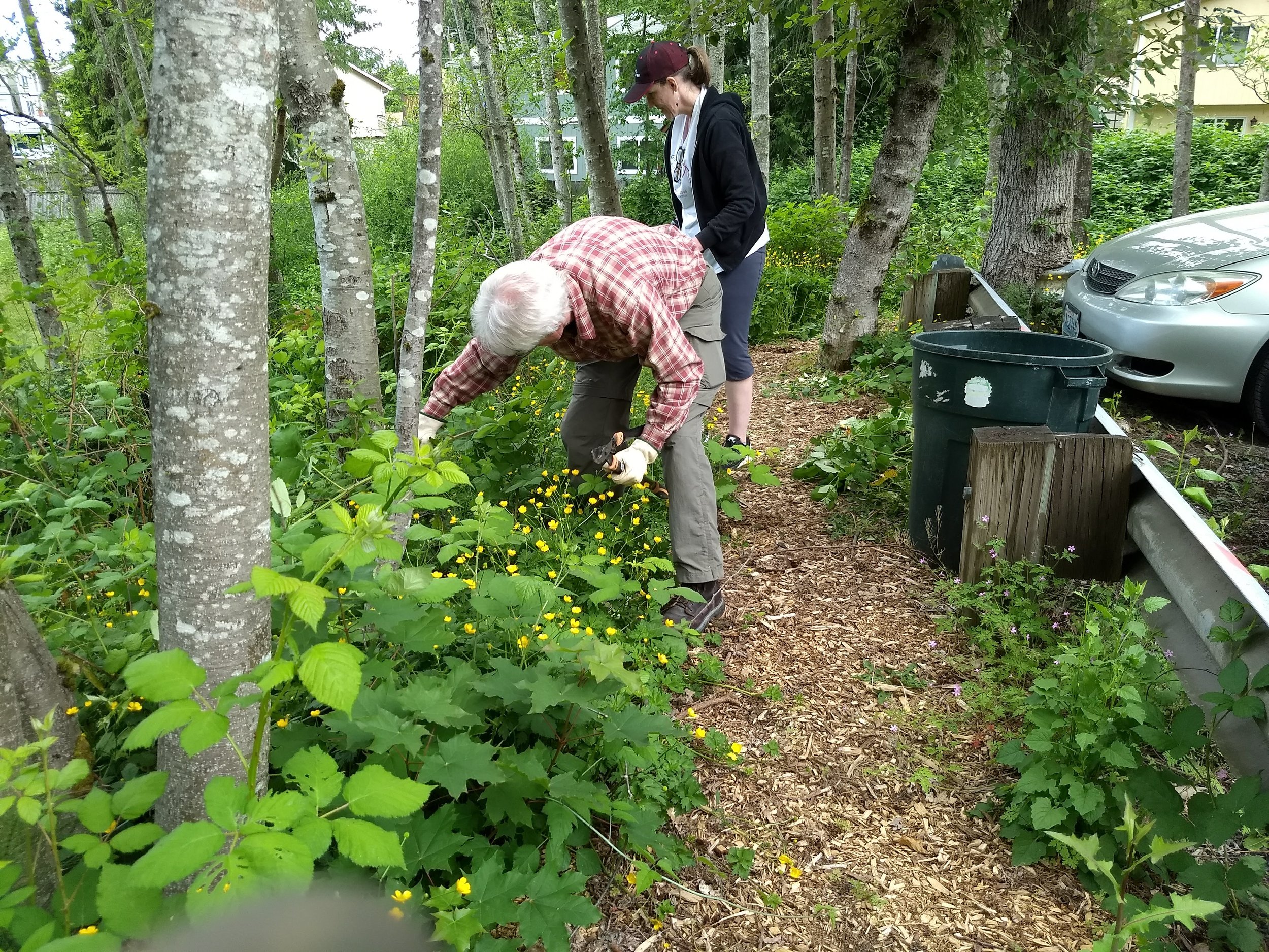 Lynnwood PAWS volunteer day 2018