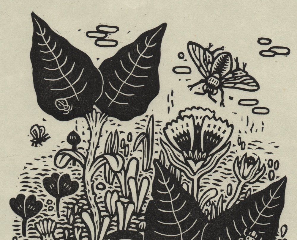 Small garden, linocut on paper — Kathleen Neeley