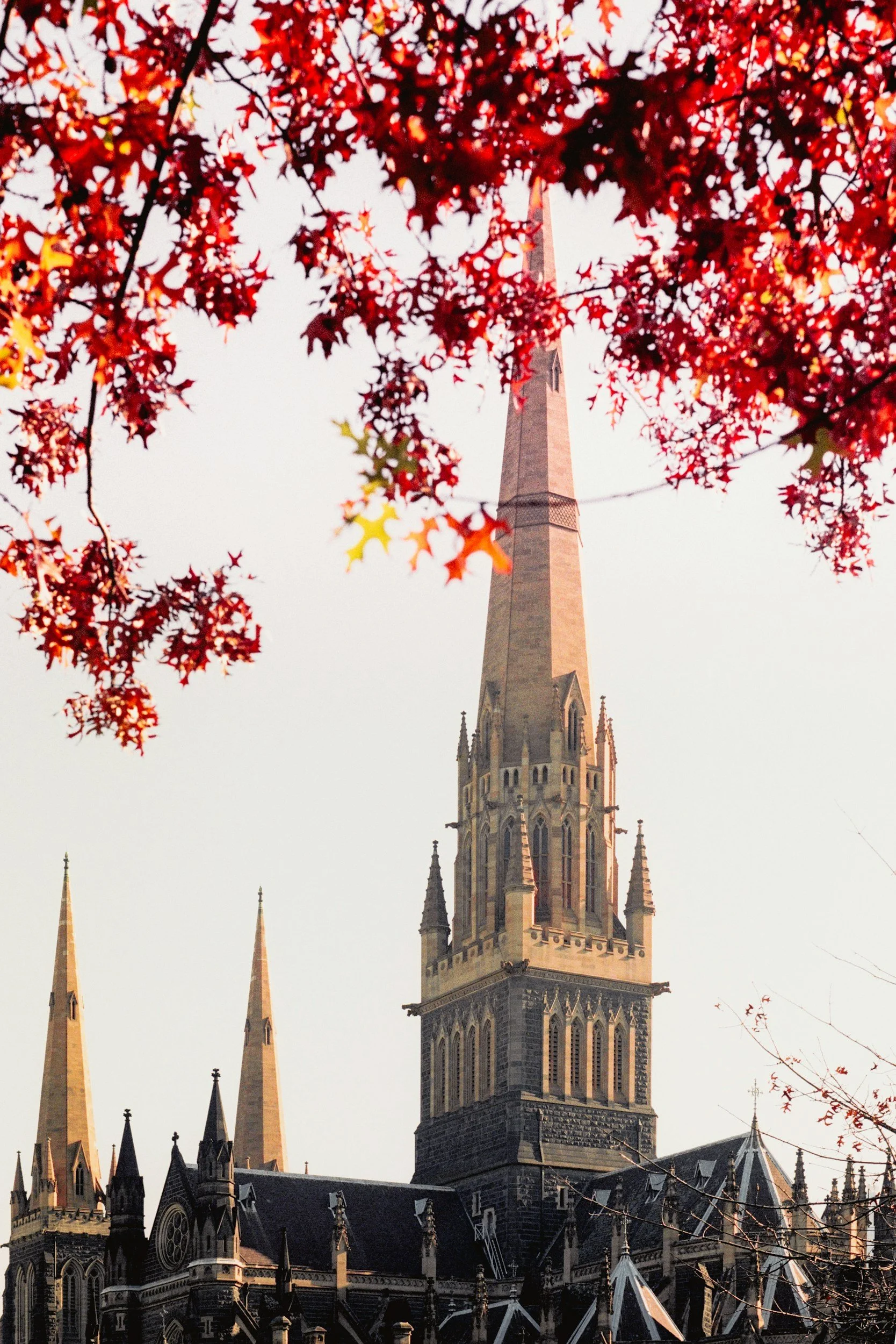 Melbourne Synod Set for December 2026