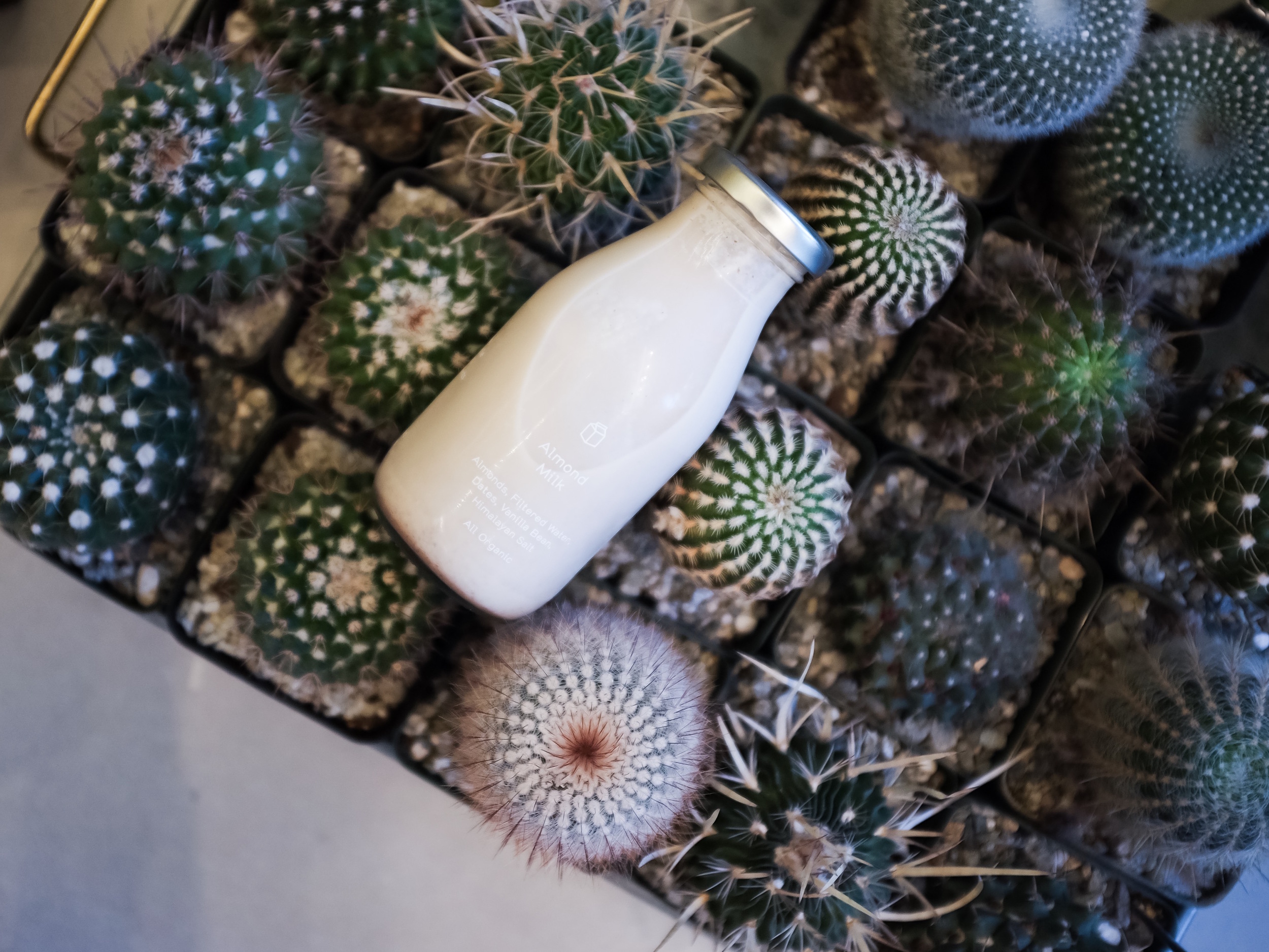 Even more reason to celebrate: The almond milk is finally back in stock at Greenhouse Juice Co.