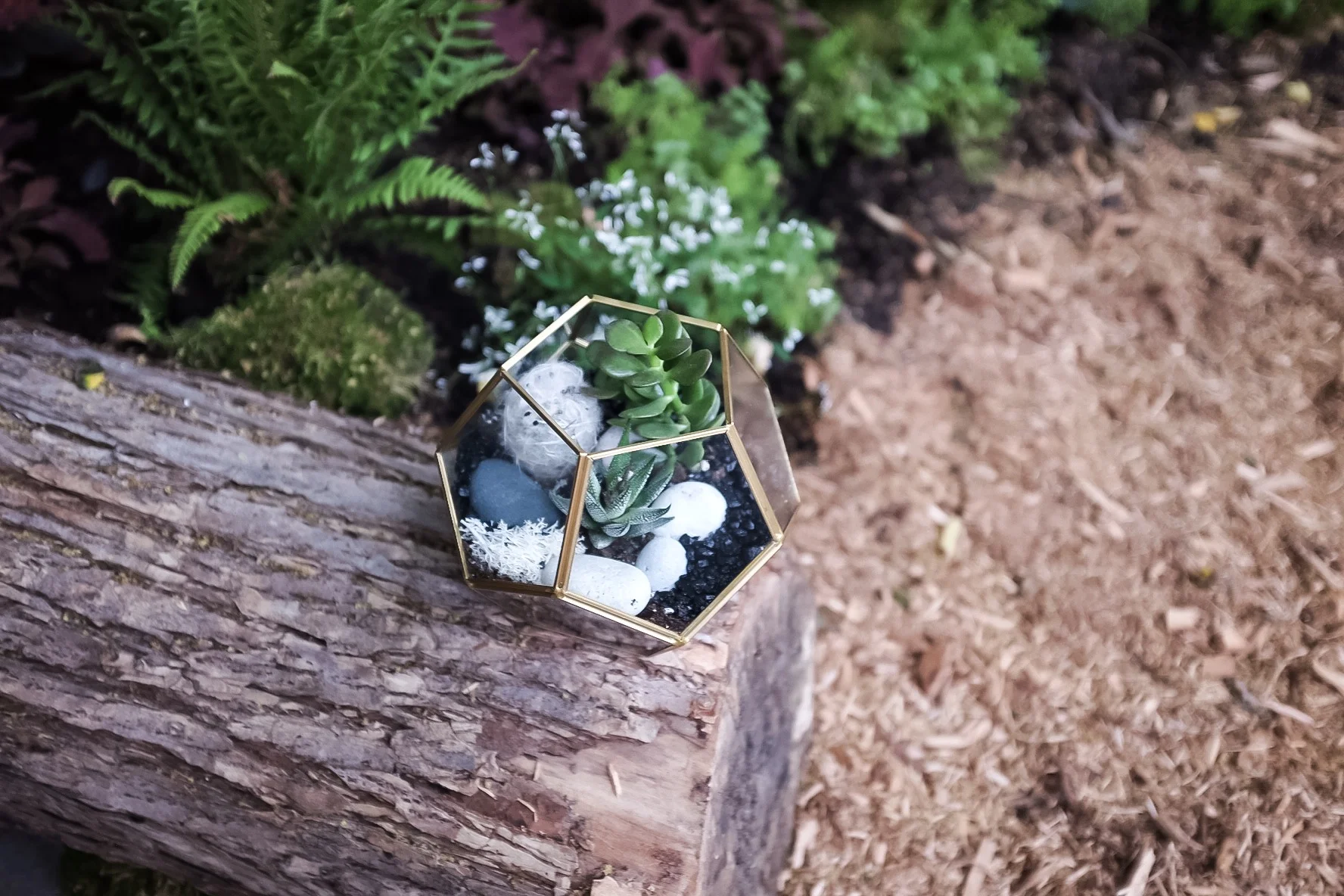 A small secret garden is located in the back of the store which makes for the perfect spot to photograph your new acquisitions.