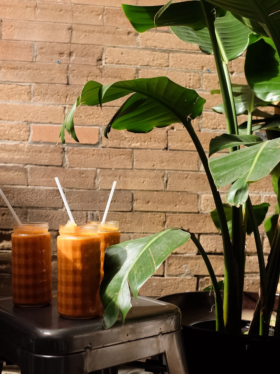 Best iced teas in the city.