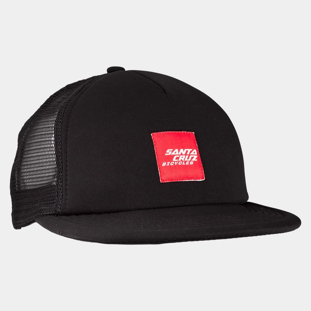 Santa Cruz Flipper Truck Cap $42 + $6 Courier. 