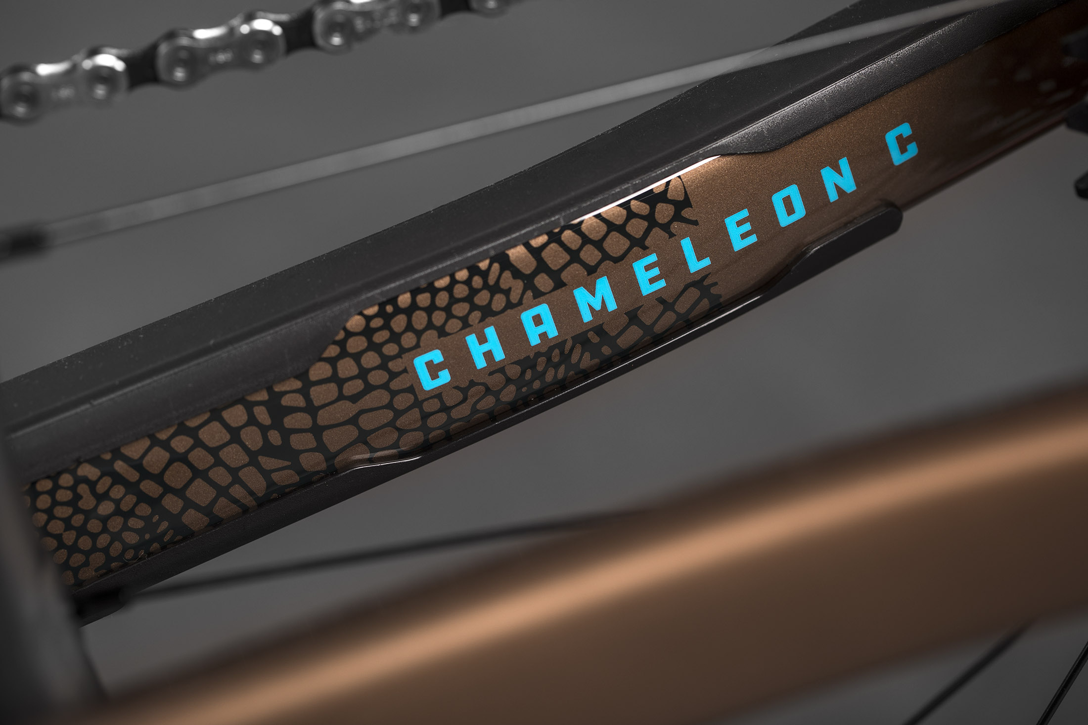 Chameleon_Studio4.jpg