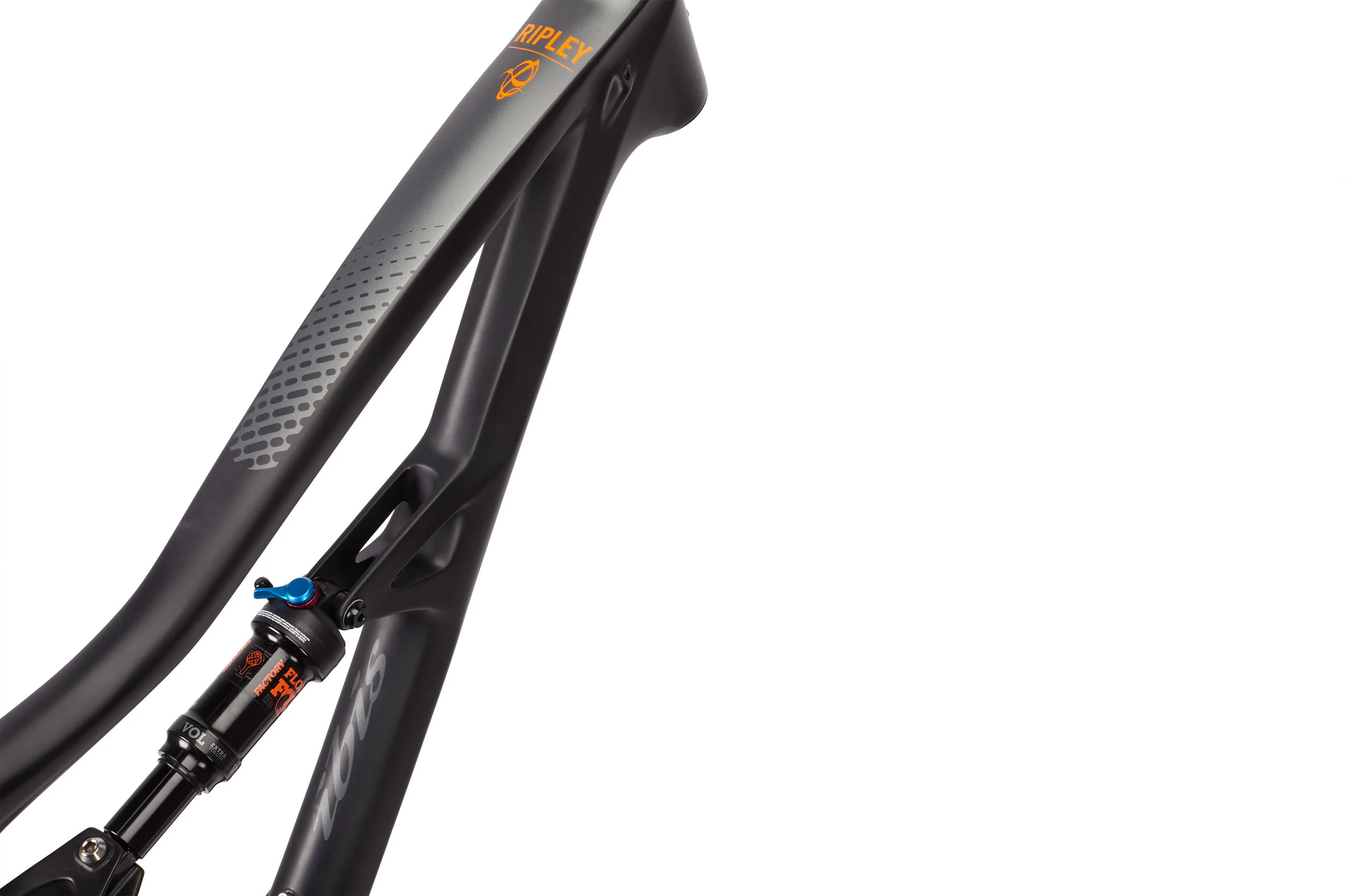 ripley4 march 15 15.jpg