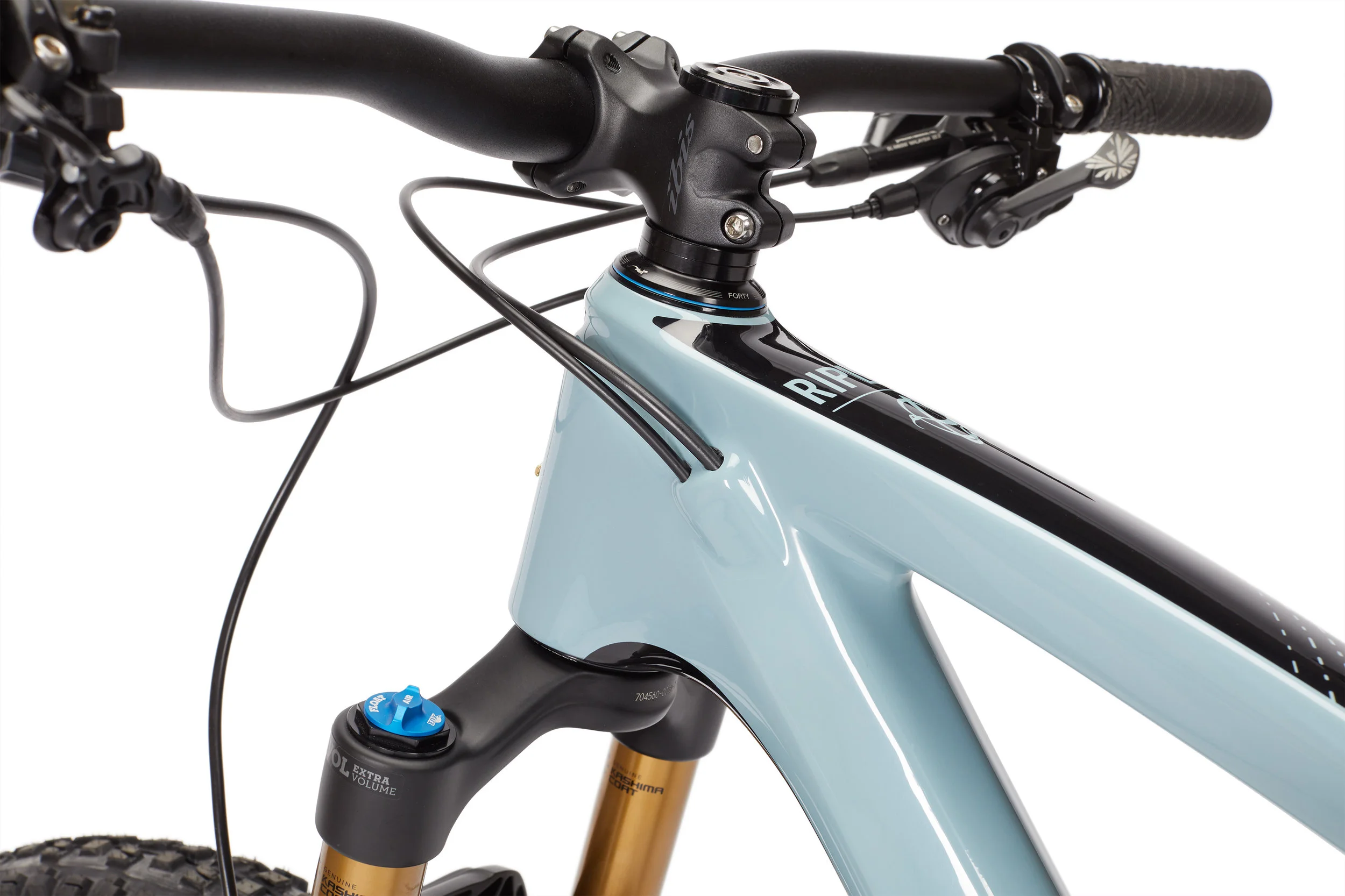 ripley4 march 15 27.jpg