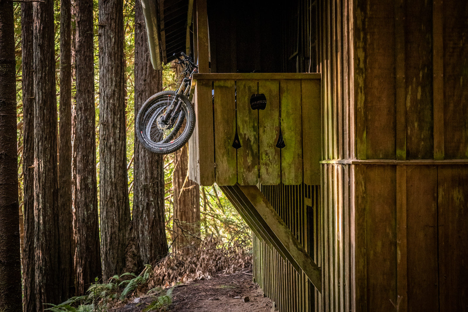 Off the grid 90 year old cabins